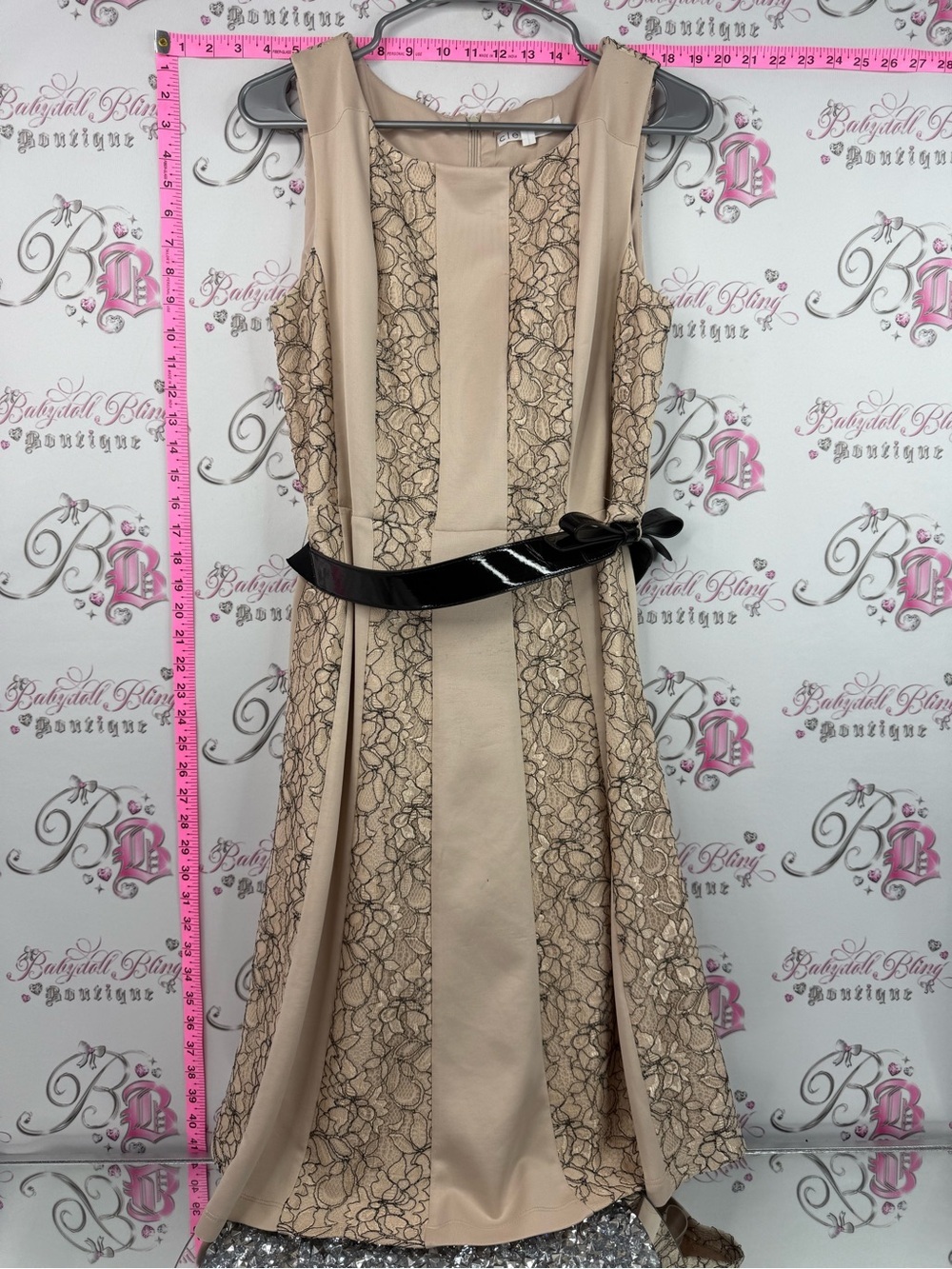 cleo dress belted Beige Lace-Panel Midi Dress with Patent Black Belt